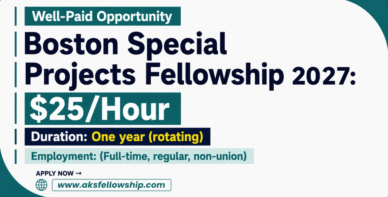 Boston Special Projects Fellowship