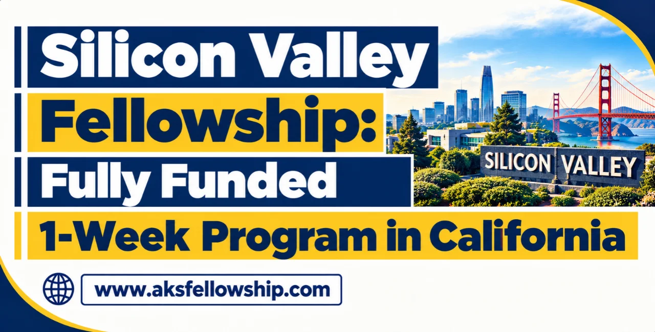 Silicon Valley Fellowship in USA