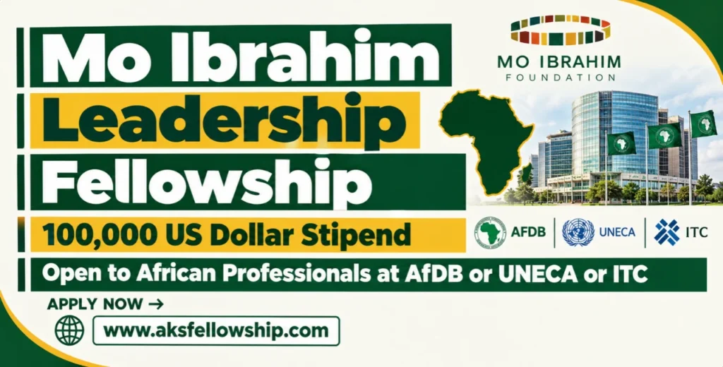 Mo Ibrahim Leadership Fellowship