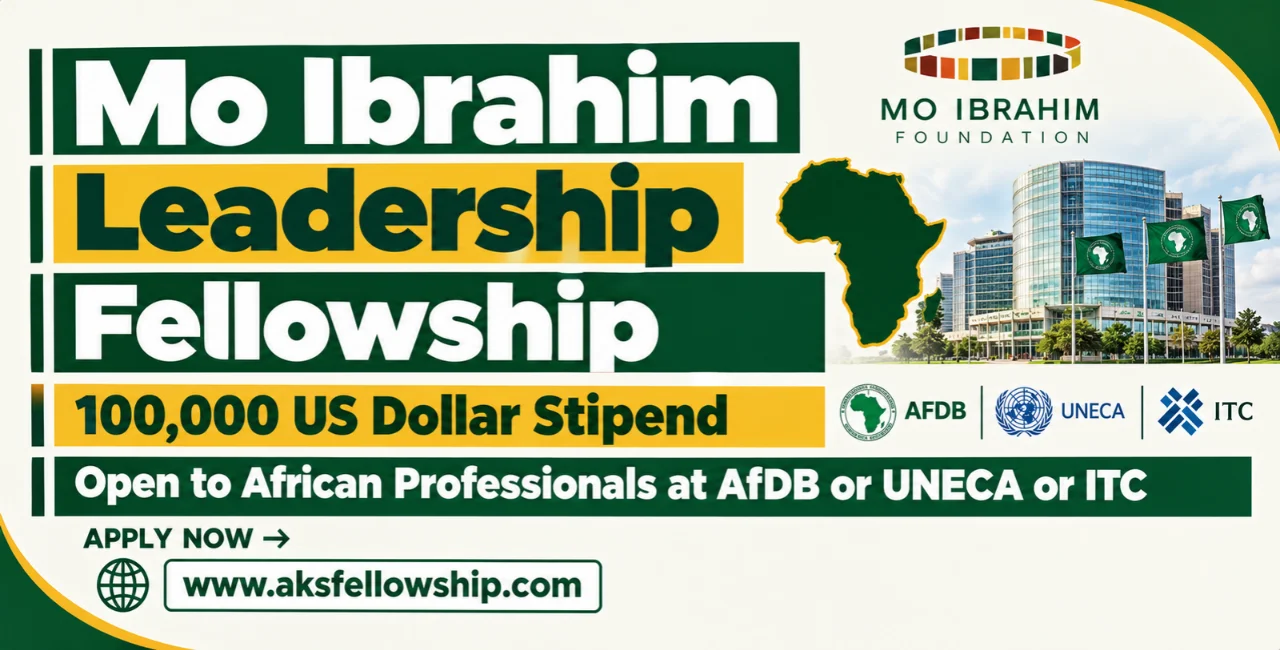 Mo Ibrahim Leadership Fellowship